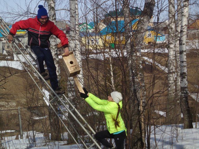 Бөрбаш ояларында сыерчыклар язгы көйләрен суза