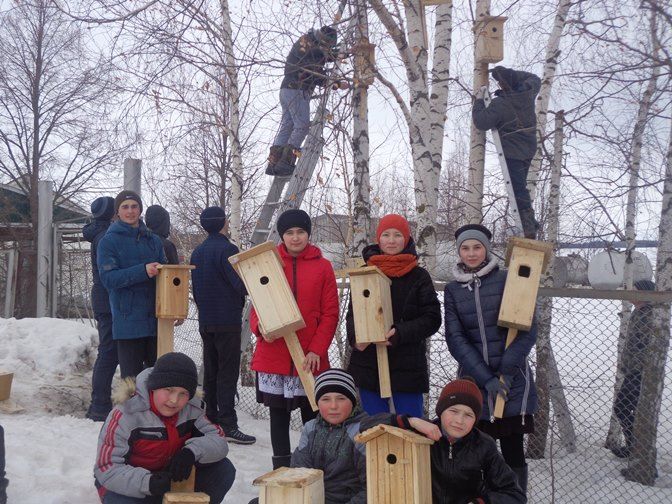 Бөрбаш ояларында сыерчыклар язгы көйләрен суза