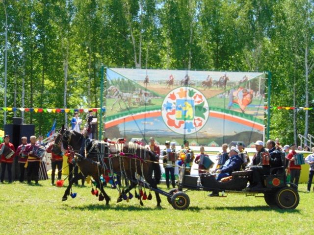 Балтач Сабан туе - 2018 (фоторепортаж)