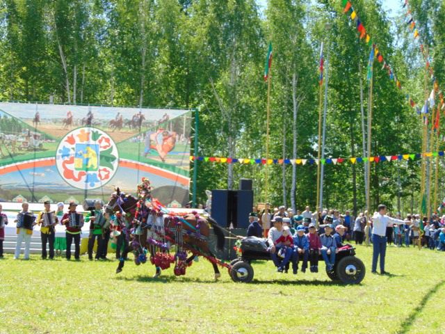 Балтач Сабан туе - 2018 (фоторепортаж)