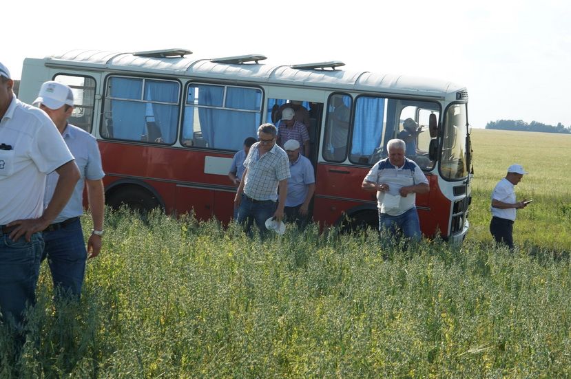 Саумы Сез, иген басулары! (+фоторепортаж)