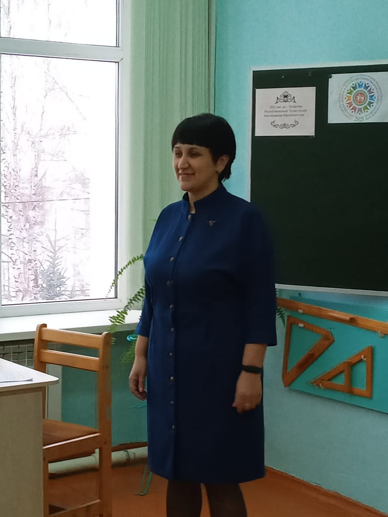 Татар теле укытучылары Балтачка төбәкара семинарга җыелды