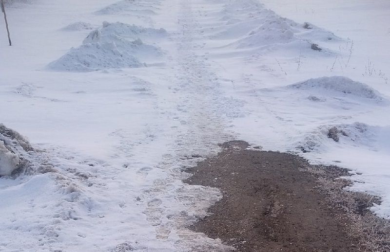 Норма-Балтач арасындагы тротуар чистартылмый