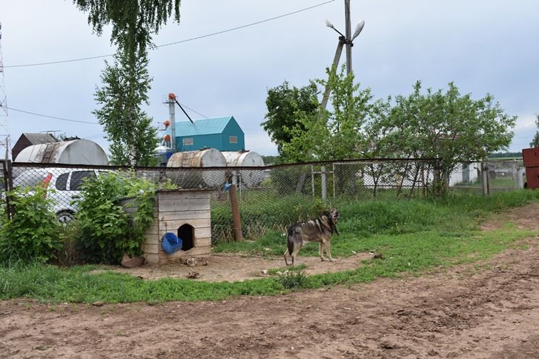 Балтачның берничә хуҗалыгында техникаларның әзерлеген тикшерделәр (+фото)