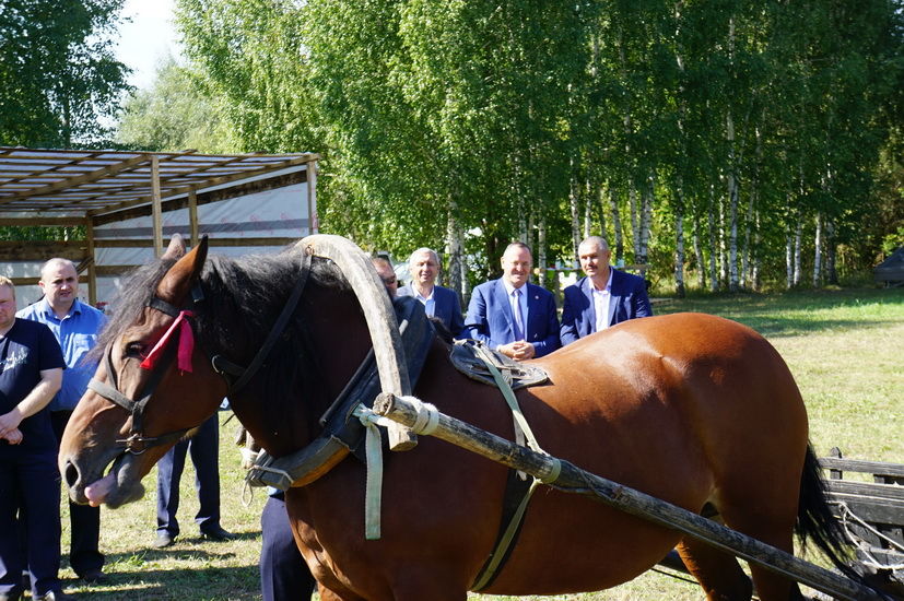 Борнак җирлегендә узган район ветеринария хезмәткәрләре көненә багышланган чарадан фоторепортаж