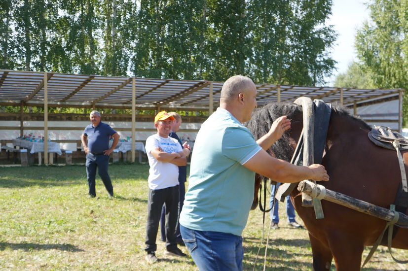 Борнак җирлегендә узган район ветеринария хезмәткәрләре көненә багышланган чарадан фоторепортаж