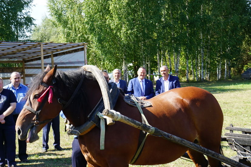 Борнак җирлегендә узган район ветеринария хезмәткәрләре көненә багышланган чарадан фоторепортаж