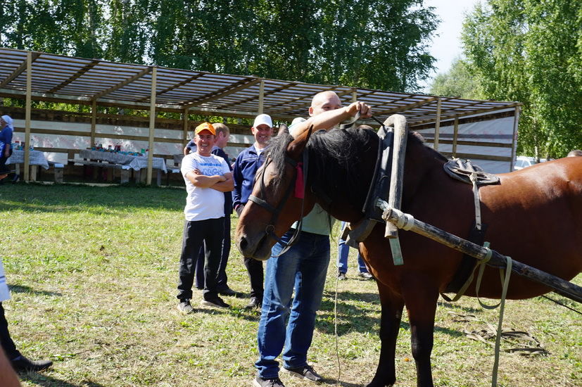 Борнак җирлегендә узган район ветеринария хезмәткәрләре көненә багышланган чарадан фоторепортаж