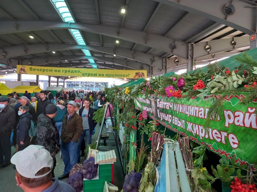 Бүген Агросәнәгать паркында Балтач уңганнары да сату итте (фото)