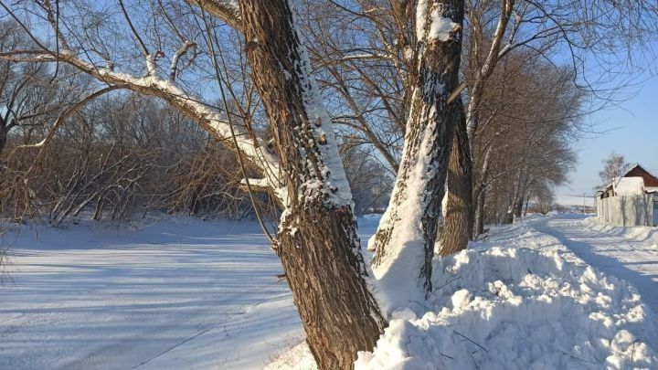 Январь аена сынамышлар