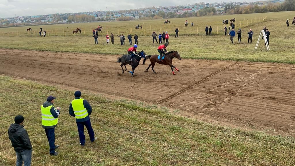Балтачта ат ярышлары башланды (фото)