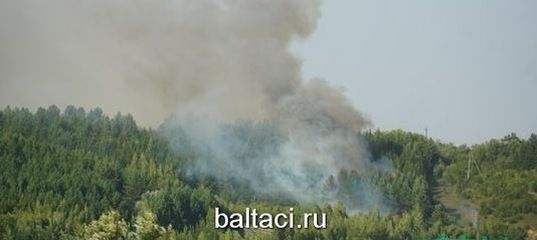 Учак, чүп-чар ягудан тыелыйк! Штрафлары бик зур