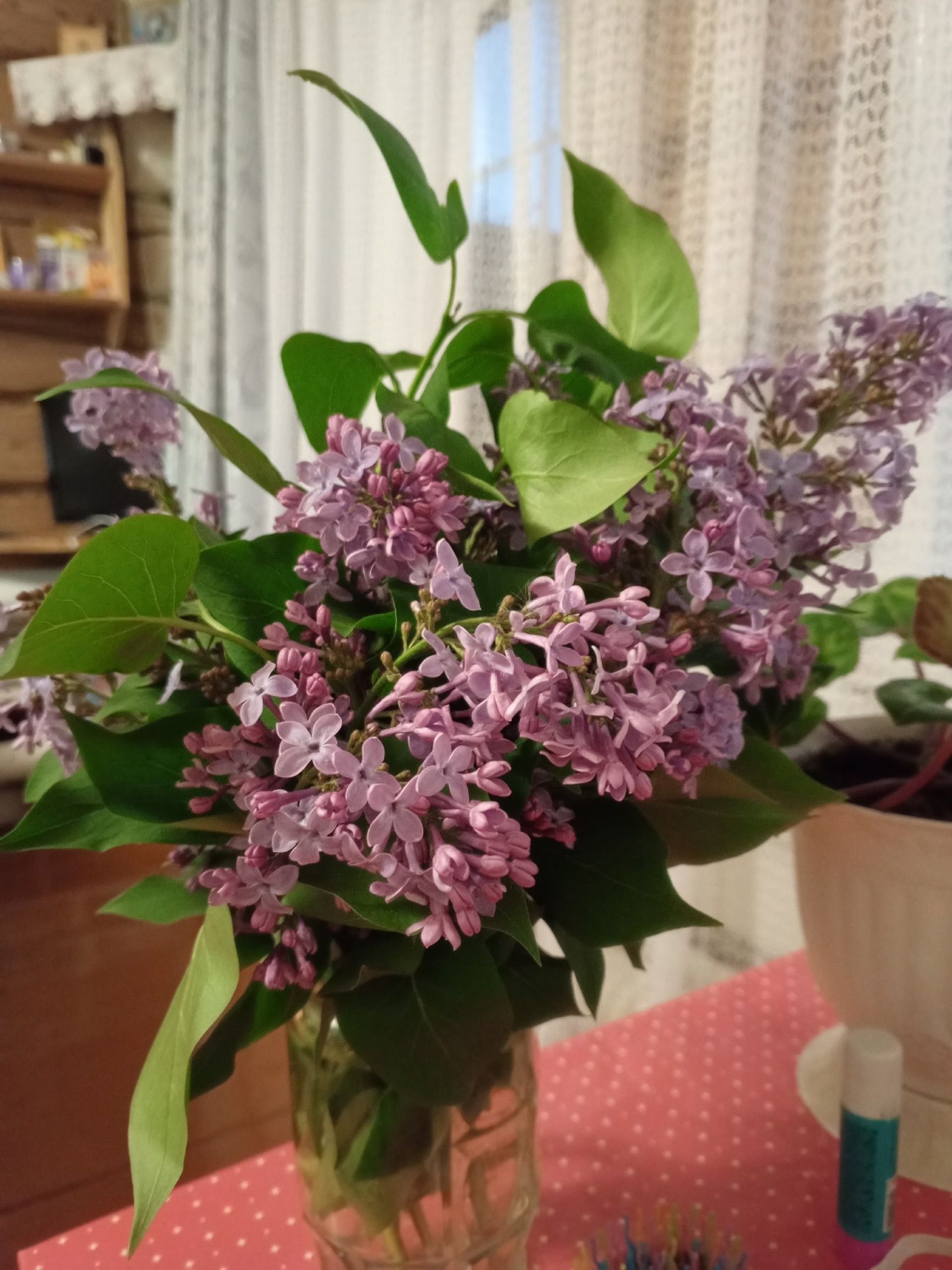 Сез дә сирень төнәтмәсен буыннарга сөртәсезме?