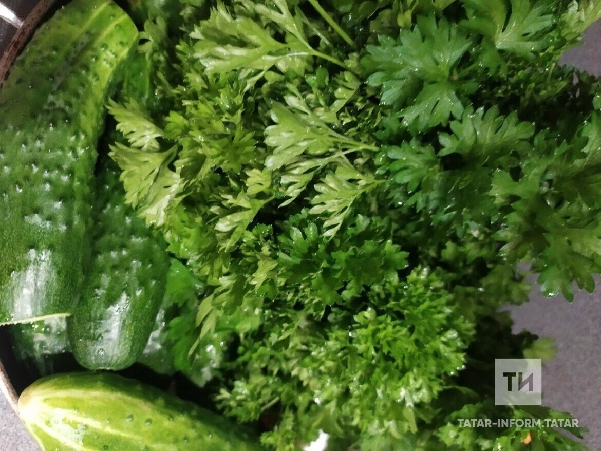 Кыяр тозлау һәм маринадлау өчен берничә рецепт