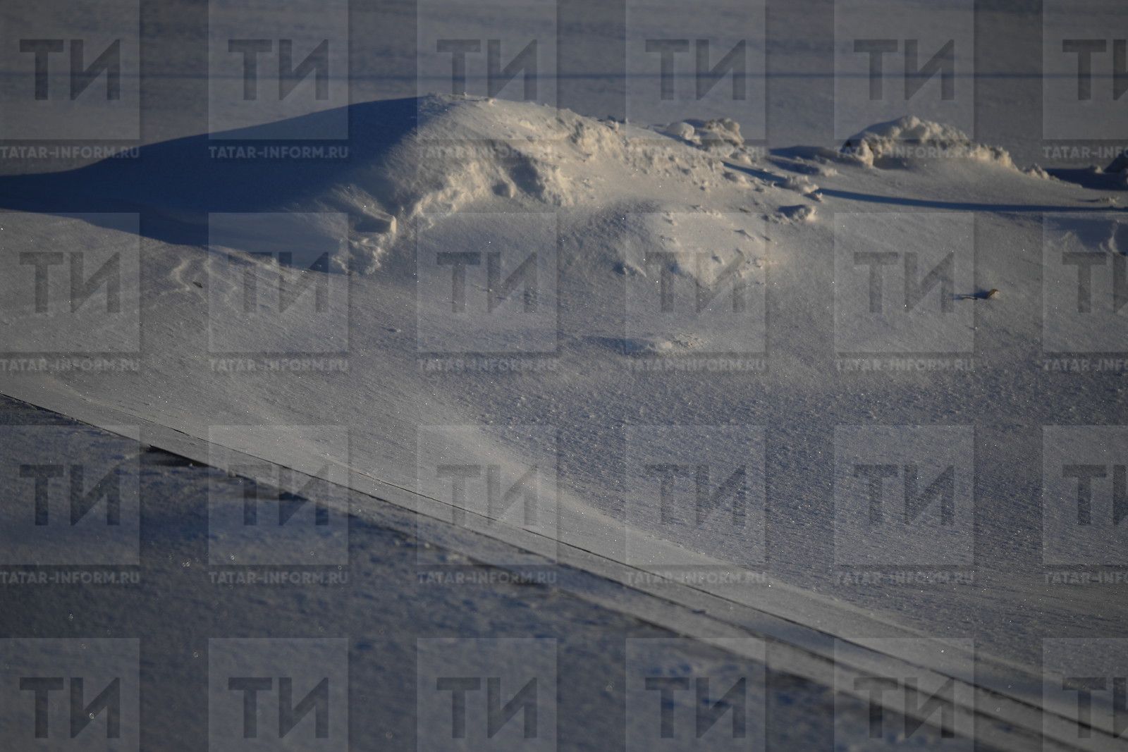 Трассада өч җиңел машина бәрелешкән, ике кеше үлгән