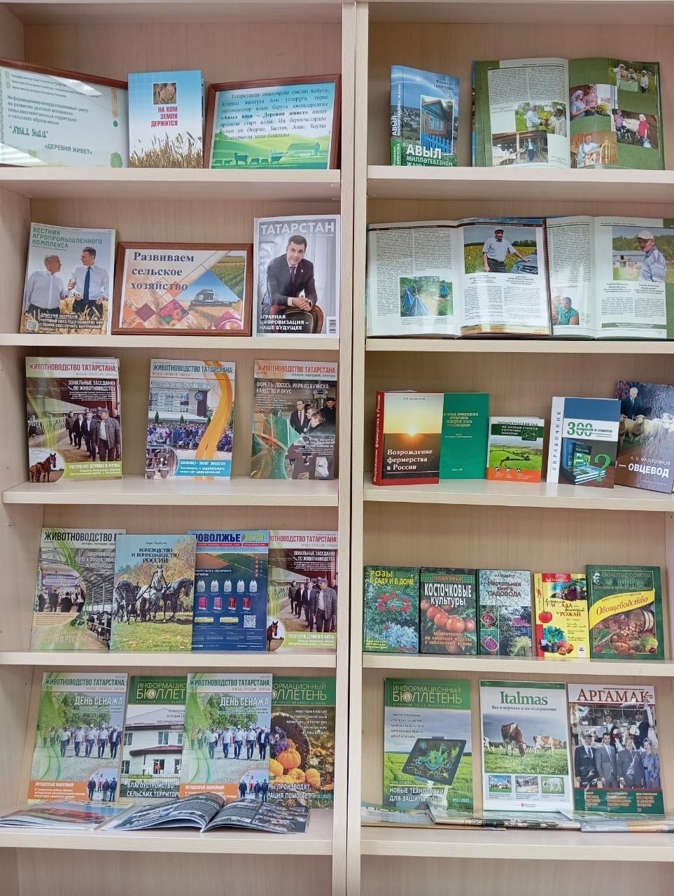 Кунаклар үзәк китапханәдә булдылар (фото)
