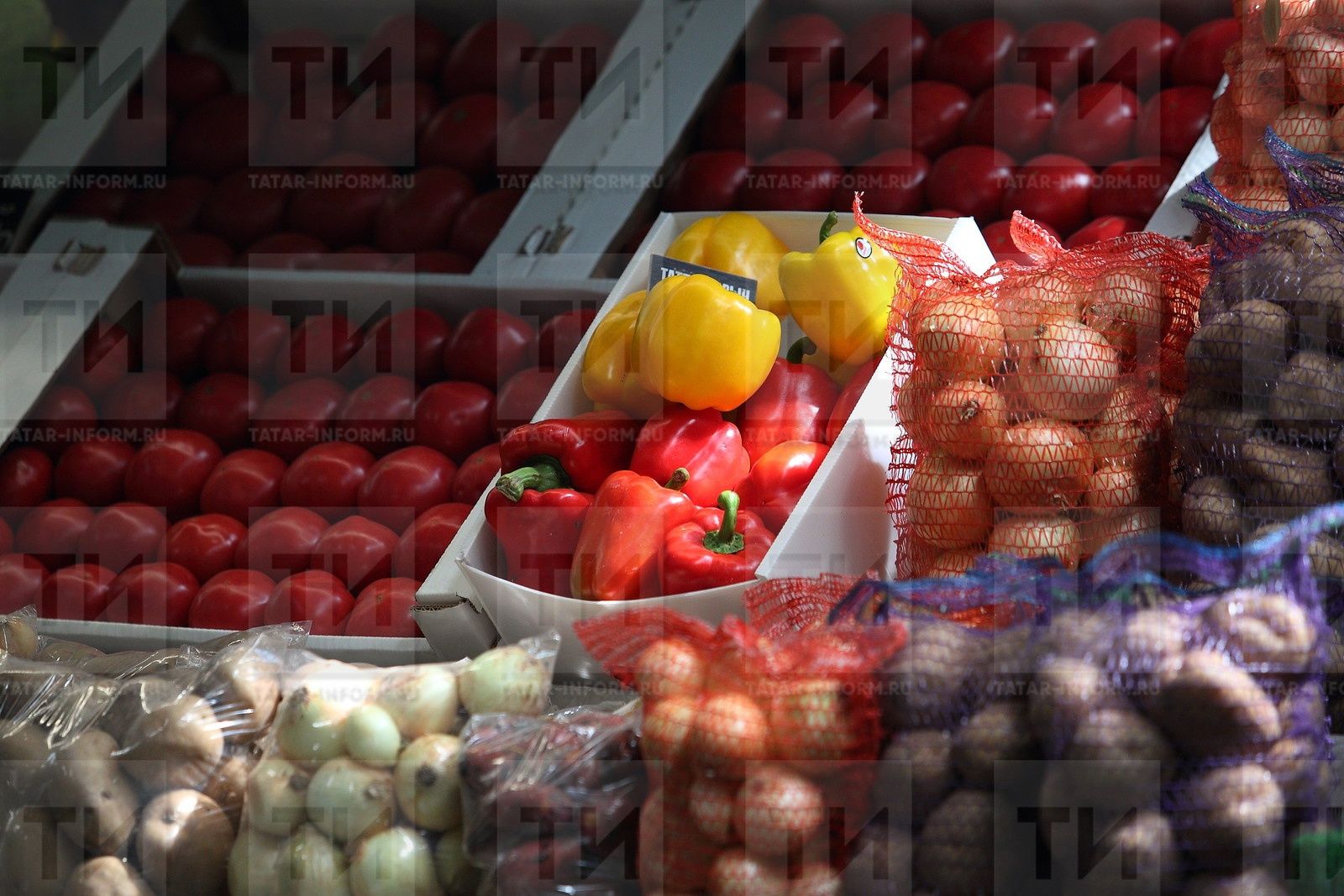 Күршесендә кем үсә?