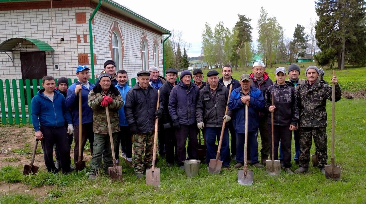 Балтачлылар  54 гектардан артык мәйданда яшь агач үсентеләре утыртты (фото)