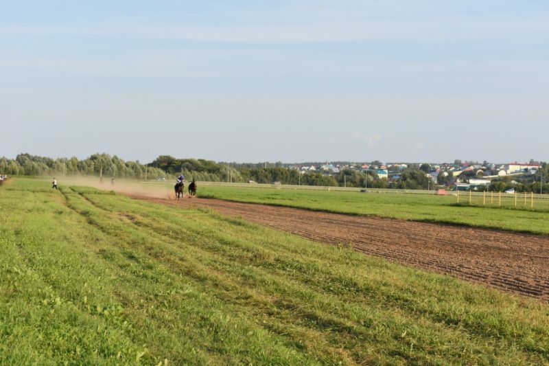 Балтачта Республика көненә багышланган ат чабышы үткәрелде (фото)