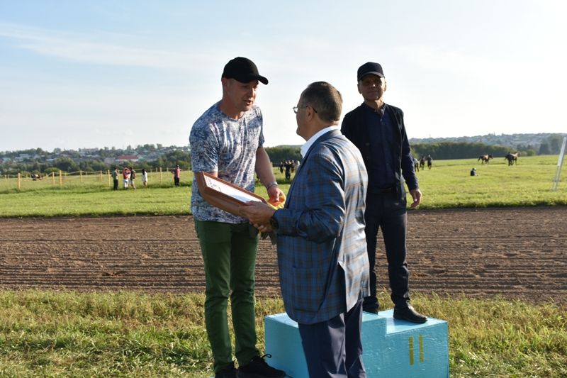 Балтачта Республика көненә багышланган ат чабышы үткәрелде (фото)