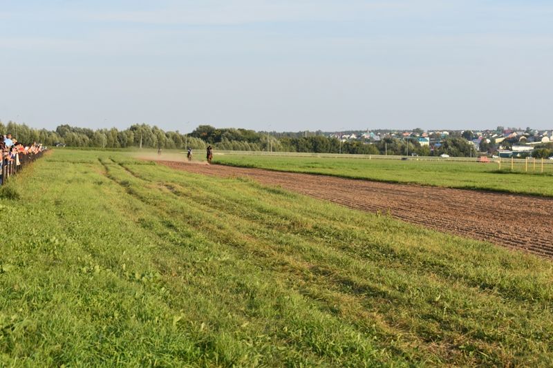 Балтачта Республика көненә багышланган ат чабышы үткәрелде (фото)