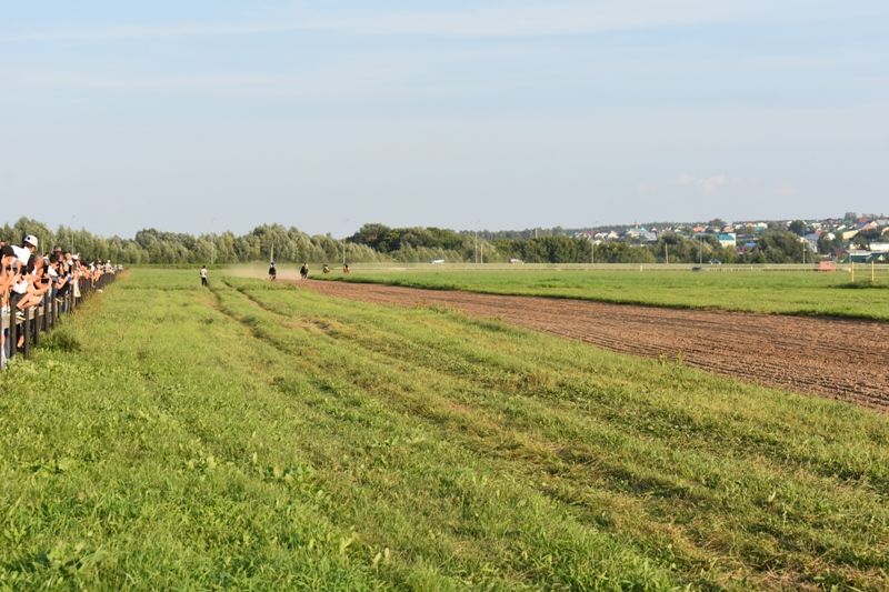 Балтачта Республика көненә багышланган ат чабышы үткәрелде (фото)