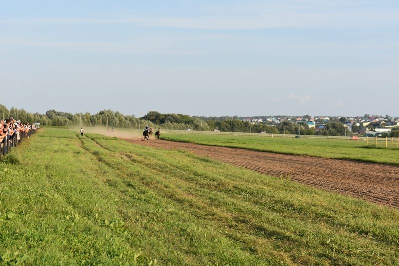 Балтачта Республика көненә багышланган ат чабышы үткәрелде (фото)