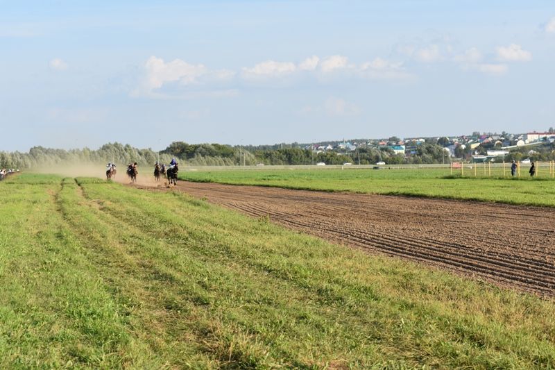 Балтачта Республика көненә багышланган ат чабышы үткәрелде (фото)