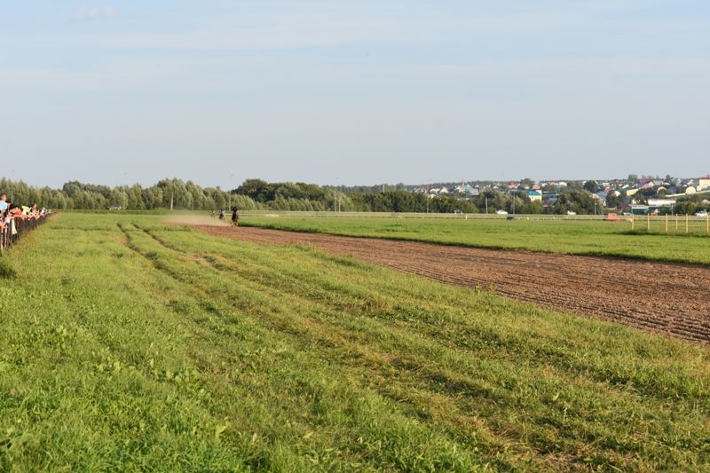 Балтачта Республика көненә багышланган ат чабышы үткәрелде (фото)