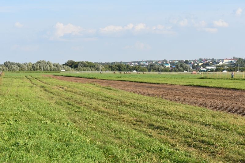 Балтачта Республика көненә багышланган ат чабышы үткәрелде (фото)