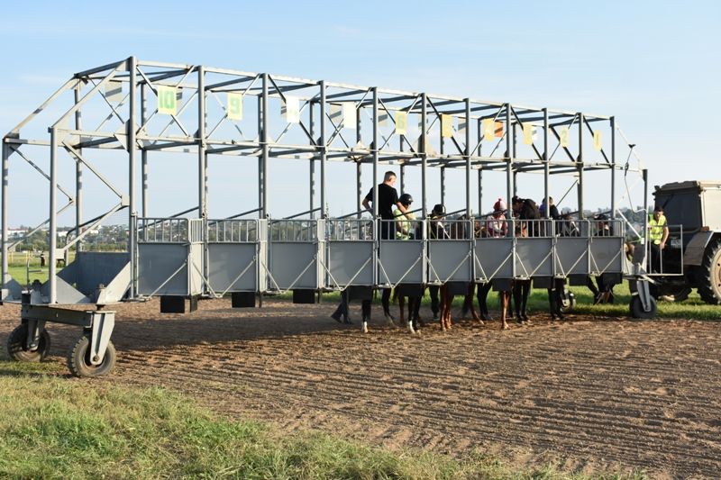 Балтачта Республика көненә багышланган ат чабышы үткәрелде (фото)