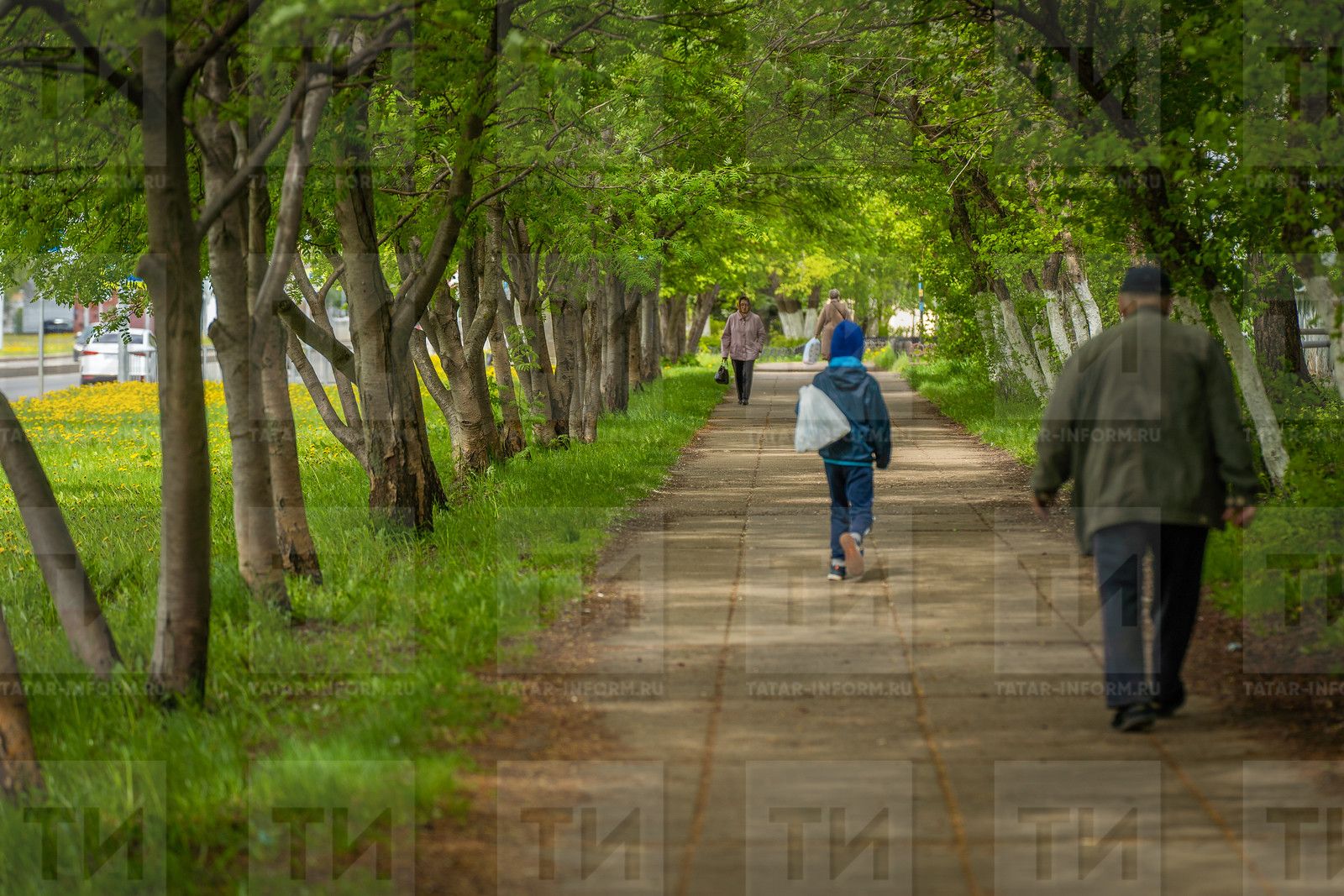 Кем белгән бу баланың күңелендә күпме ачу, рәнҗү, ачыну булганын