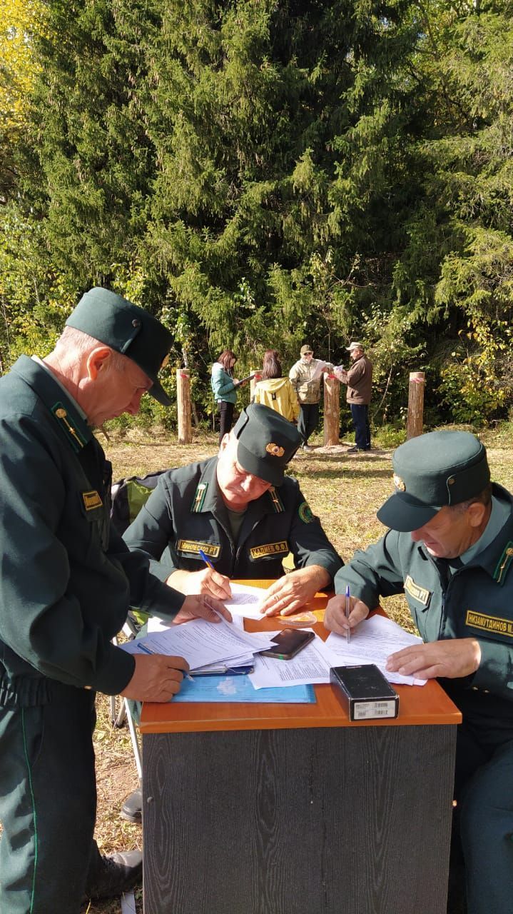 Балтач урманчылары һөнәри бәйрәмнәрен зур җиңүләр белән каршылый