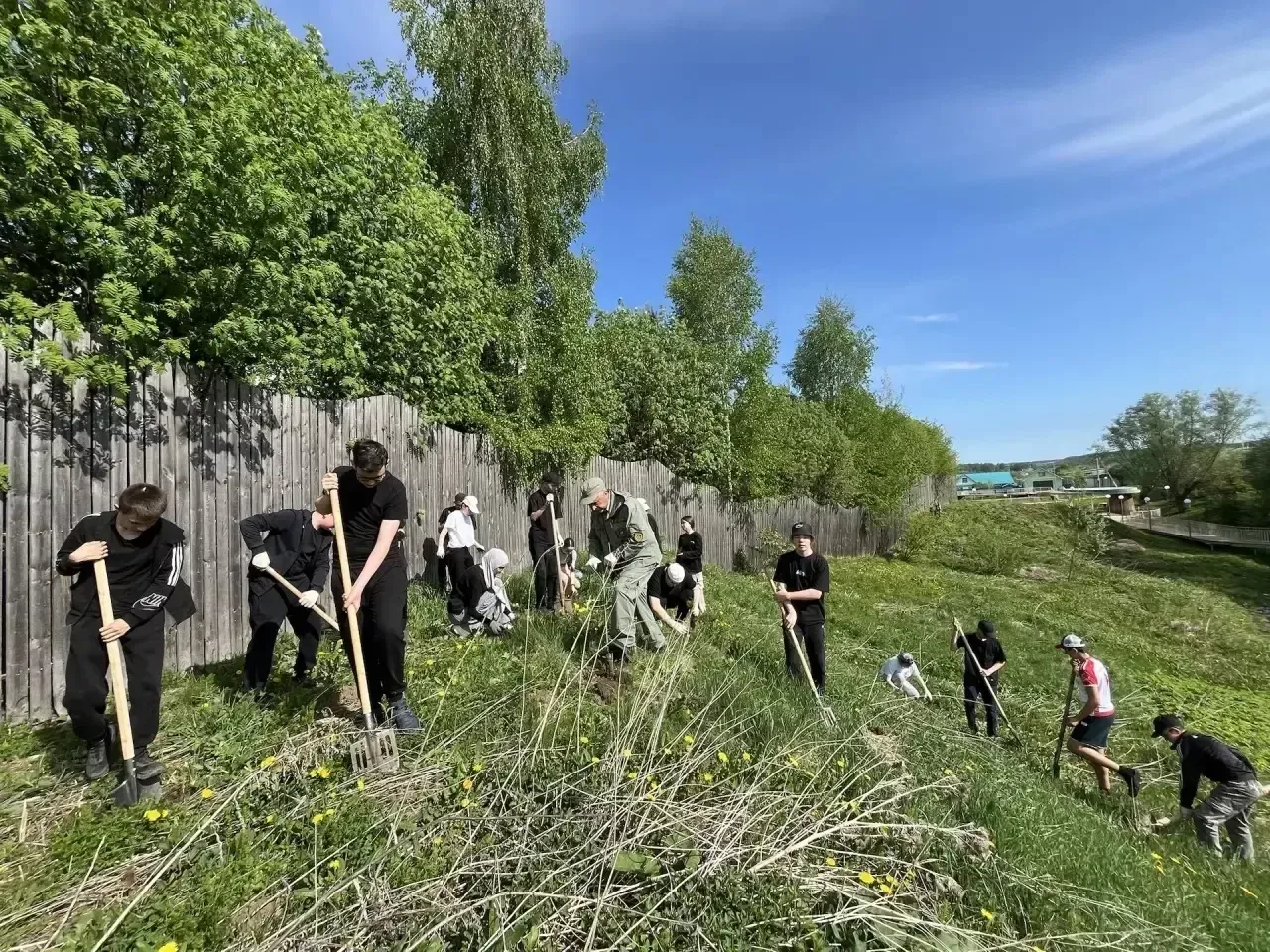Балтачта утырткан агачларны тар-мар иткәннәр