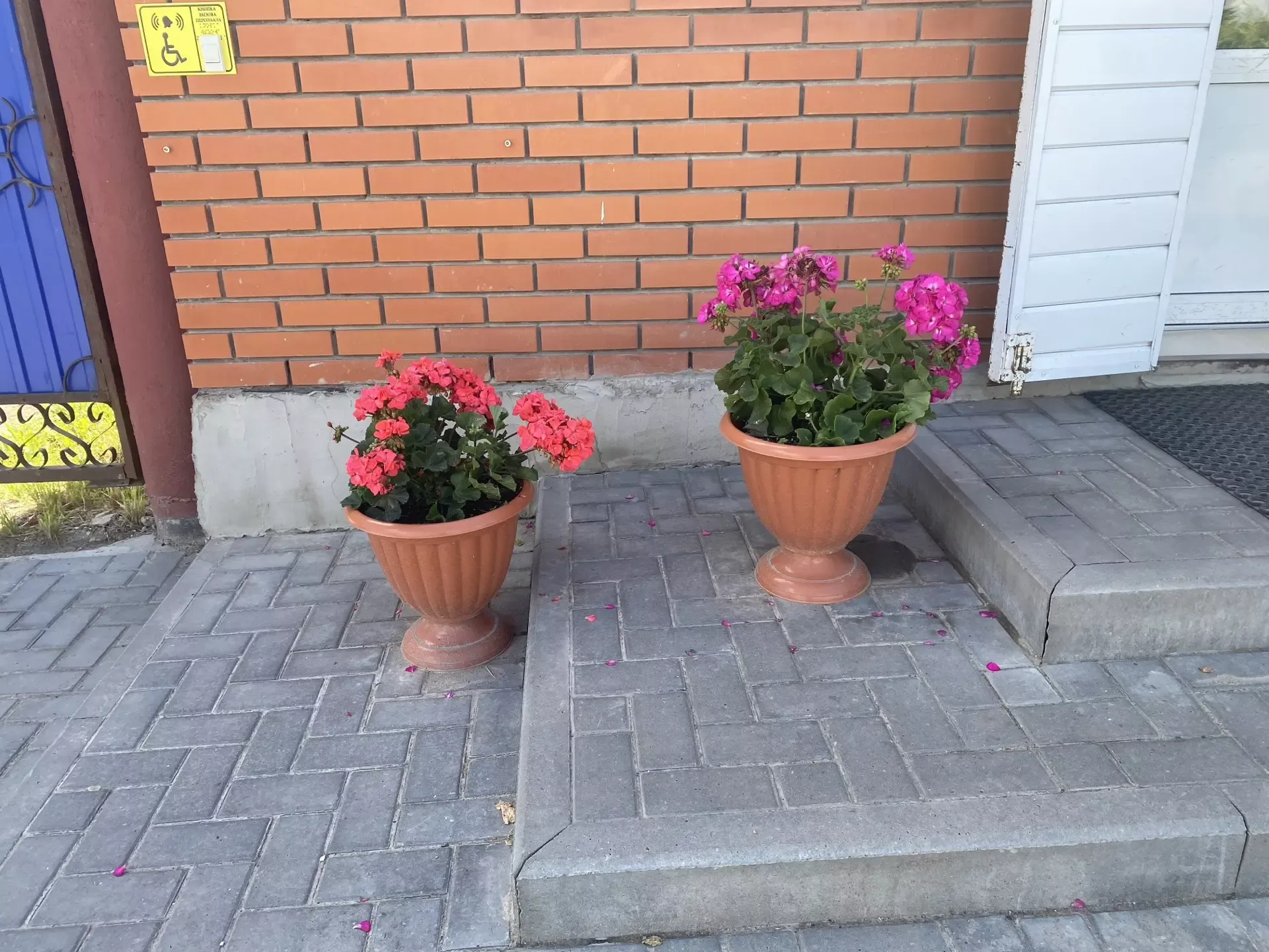 Балтачтагы матурлыкка кемнәр кул суза?