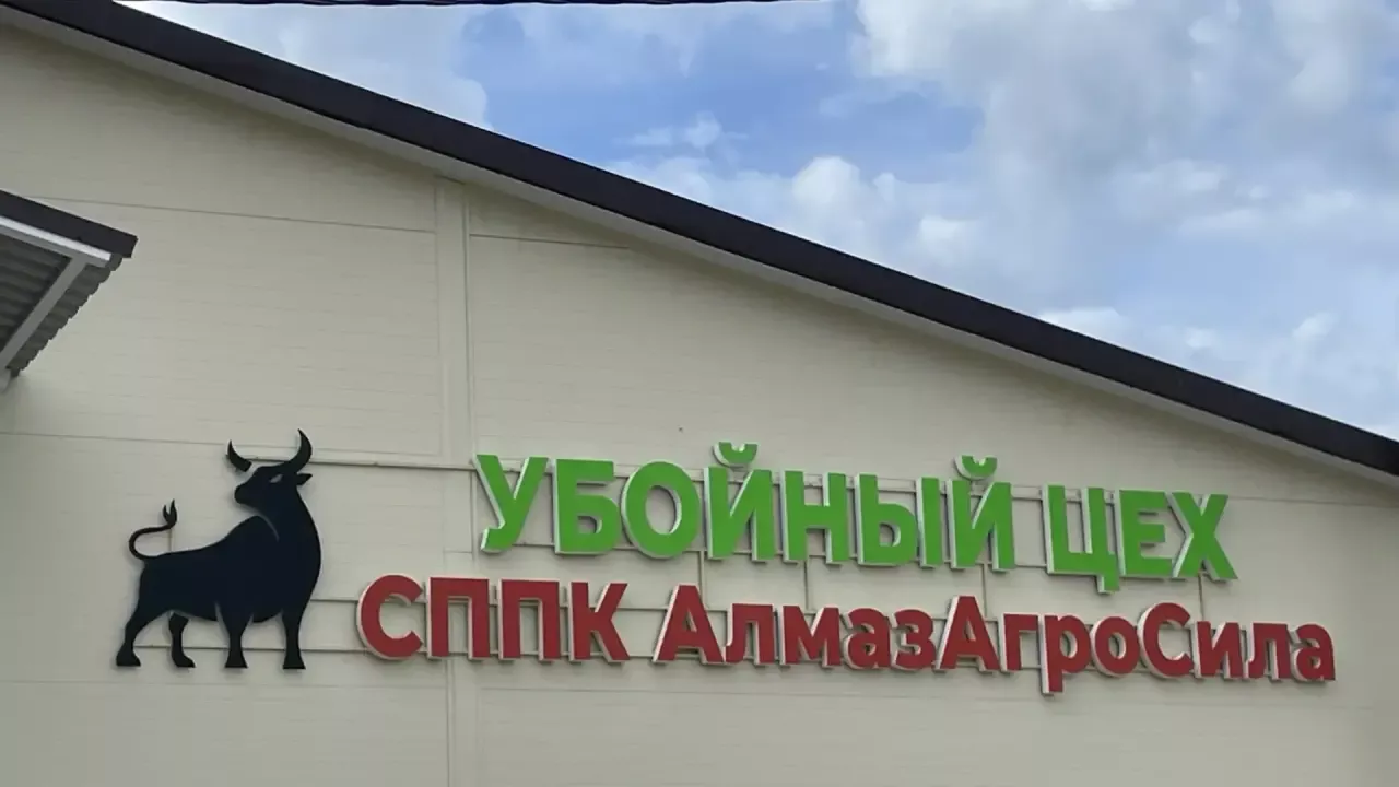 Куныр авылында 45 млн сумга төшкән заманча сугым цехы ачылды