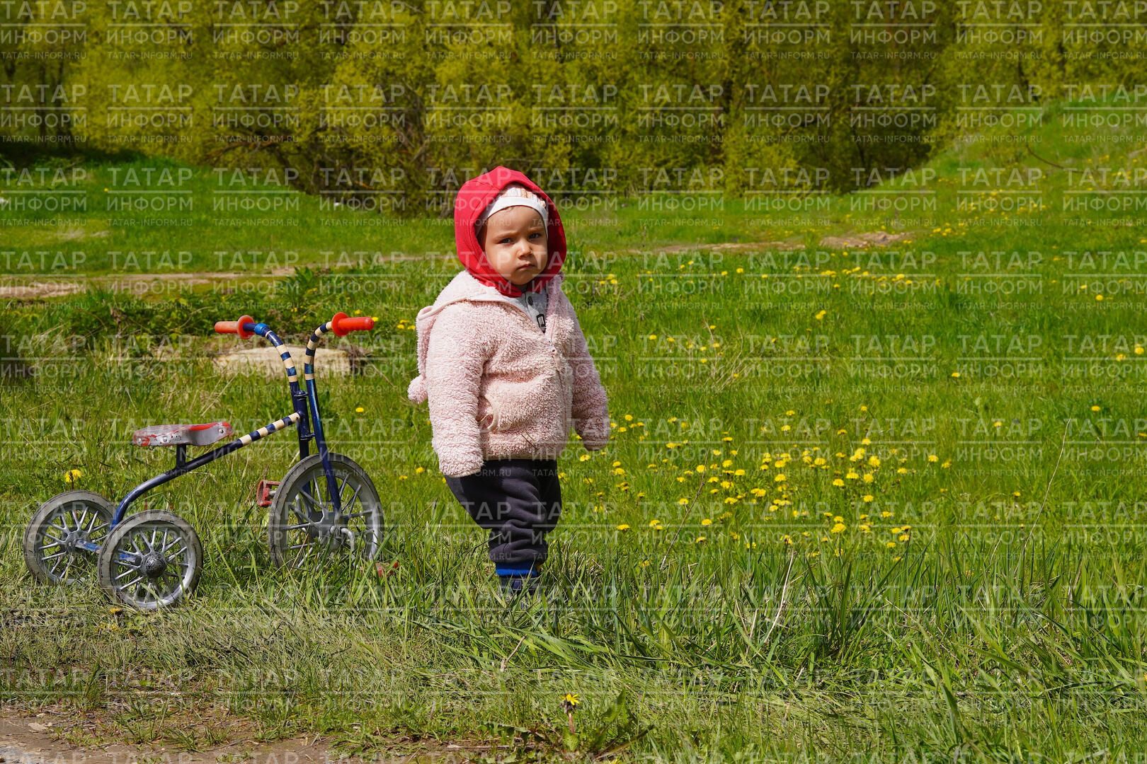 Ана сүзе (хикәя)