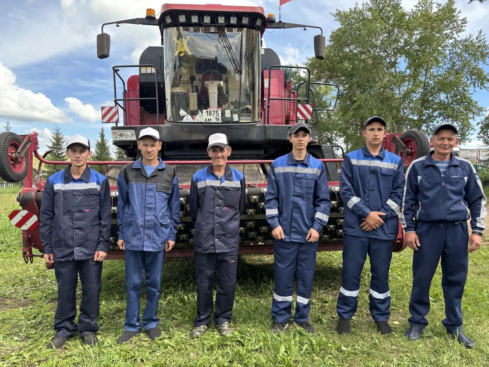 Басулар сары төсмердә, комбайннар әзерлек сызыгында