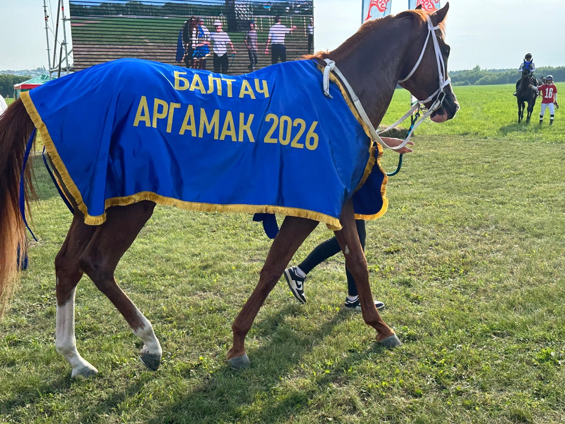 Аргамаклар очар коштай канатлана