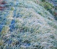 Җиңел машина әйләнеп капланган, 19 яшьлек йөртүчесе һәлак булган