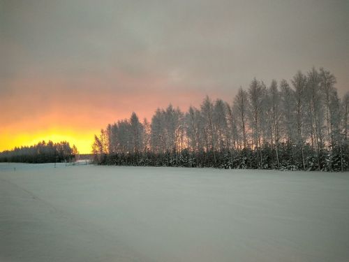 Өшегән кулларны кар белән ышкымагыз! Нигә?