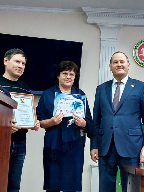 Балтачта территорияләрне Яңа елга бизәү буенча иң-иңнәрне бүләкләделәр (+фото)