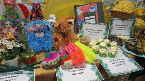 Балтачта «Тату сыйныф серләре»н ачыклый башладылар (+фоторепортаж)