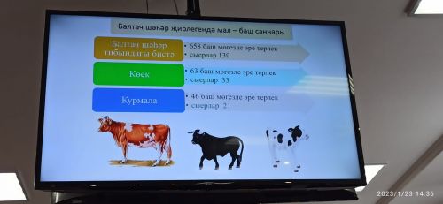 Балтач шәһәр җирлеге Советының утырышында ниләр хакында сөйләштеләр? (+фото)