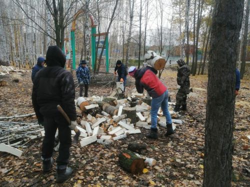 Балтач спорт мәктәбе тренерлары утын әзерли (фото)