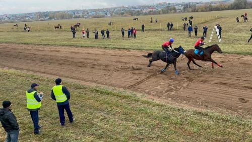 Балтачта ат ярышлары башланды (фото)