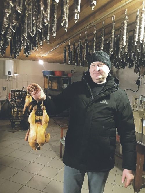 Айрат Хөсәеновтан каз каклау серләре