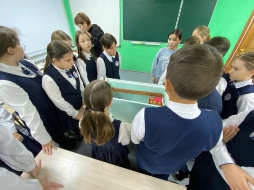 Балтач гимназиясе укучылары һөнәр үзләштерә (фото)
