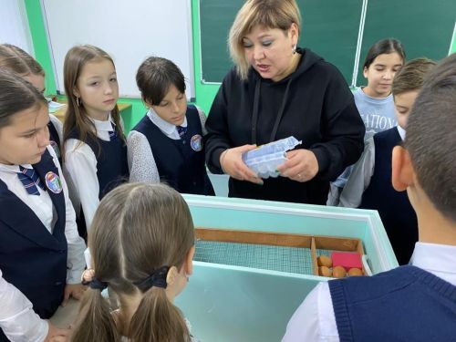Балтач гимназиясе укучылары һөнәр үзләштерә (фото)