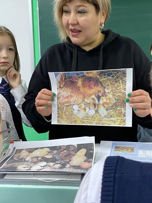 Балтач гимназиясе укучылары һөнәр үзләштерә (фото)